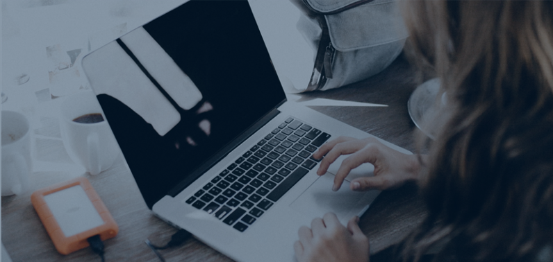 website terms and conditions of use